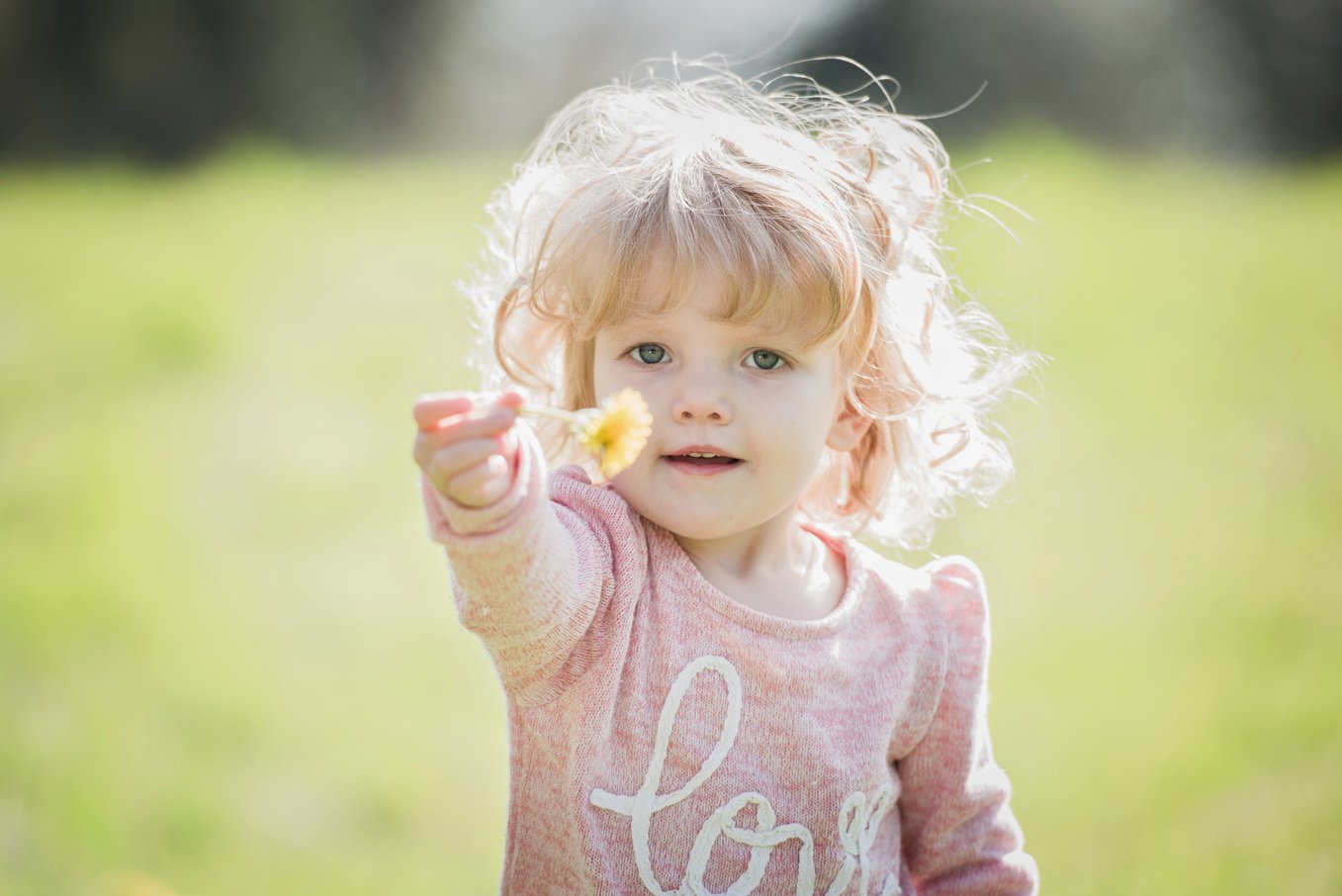 Child Holding a Flower